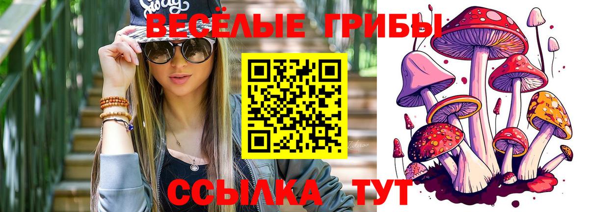 Галлюциногенные грибы MAGIC MUSHROOMS  купить наркоту  Мончегорск  Вход с VPN 